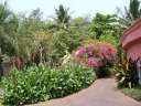 Парк и ботанический сад в Лила пэласе в Маборе