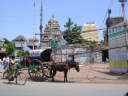 Канчипурам. фото одной из улиц