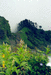 Перевал Чандеркани, покрытый цветочными коврами